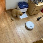 Ecovacs Deebot Mini